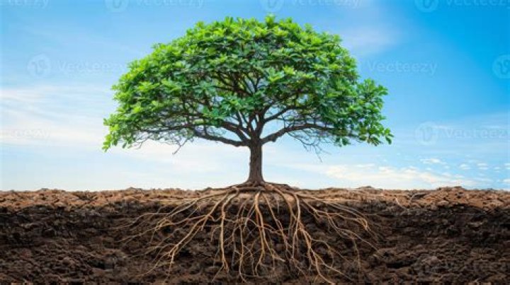A Gateway To His Roots And Impact