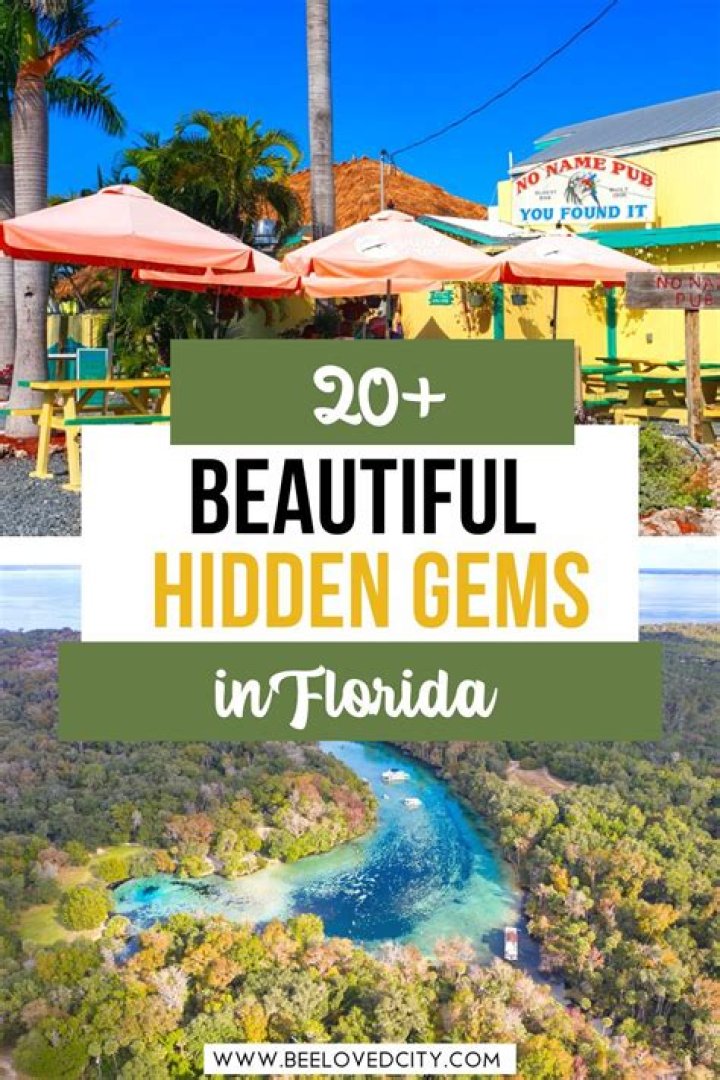 Discover The Hidden Gems Of Skip The Games Sarasota Florida