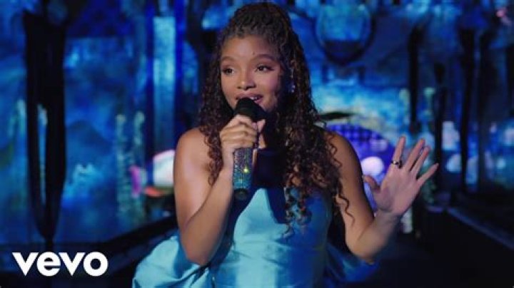 Halle Bailey And The Disability Discourse