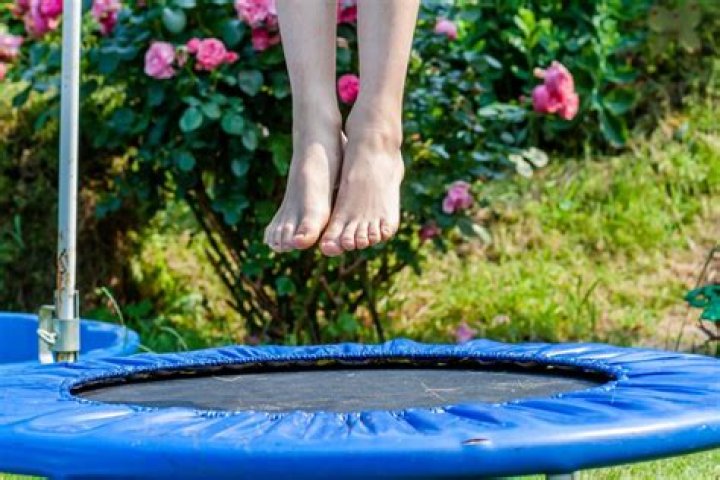 Insights Into The Vanessa Trampoline Accident