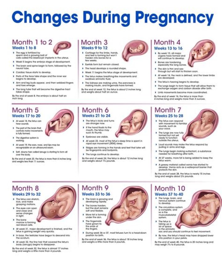Jenese Harris's Pregnancy Journey Unveiled