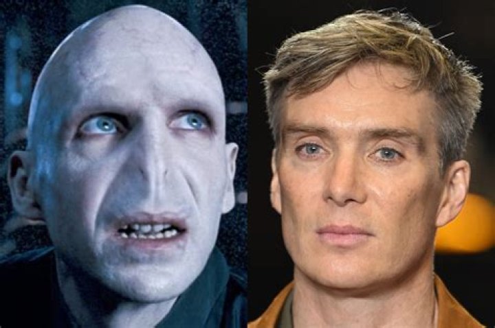 The Enigmatic Actor From Wikipedia's Stage