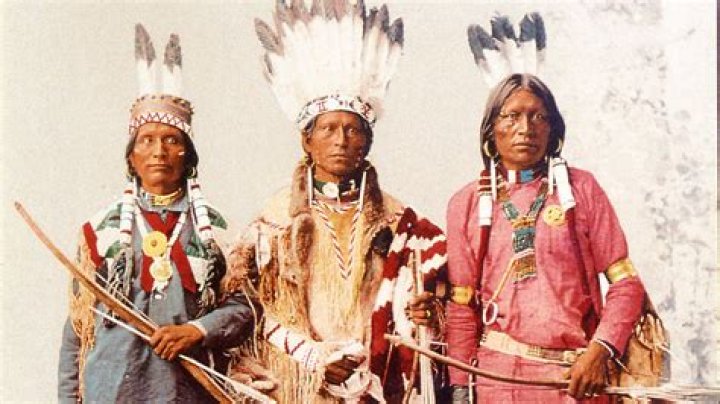 Uncover The Truth And Learn From Their Experience