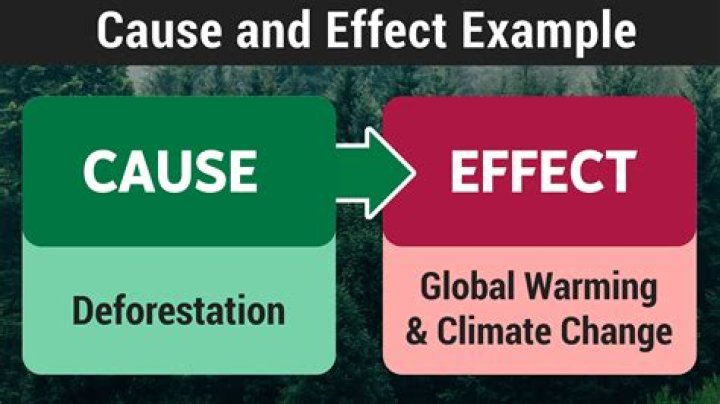 Unraveling The Cause, Impact, And Road Safety Implications