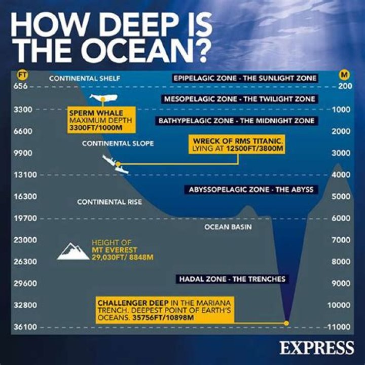 Unveiling The Depth Of Amy Joan Aiello: Insights And Discoveries